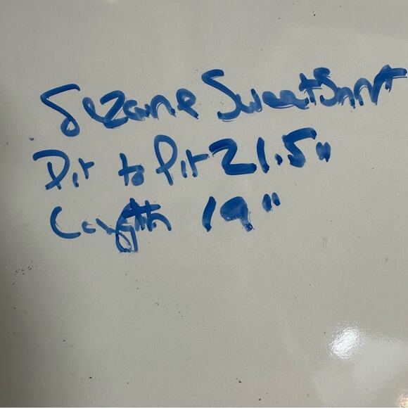 Sezane Aluna Hoodie Sweatshirt Organic Cotton Sweat Shirt Top Ecru Cream Yellow - Picture 4 of 15